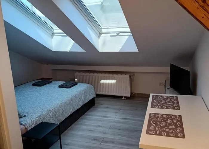 Sleep In Center 公寓 克拉科夫